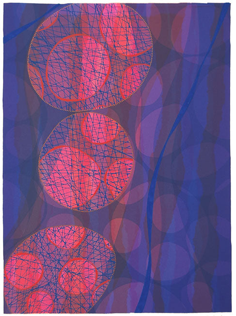 Anita Ford - Doñana XXII Monoprint