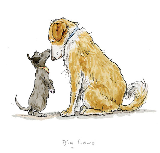 Anita Jeram - Big Love!