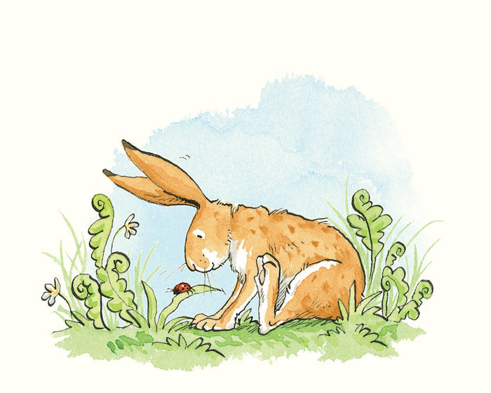 Anita Jeram - Guess How Much I Love You - Ladybird