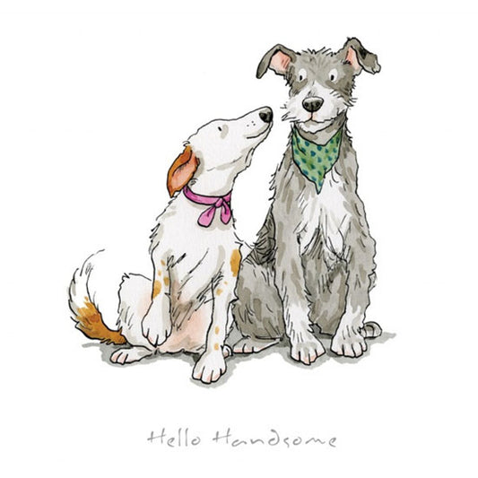 Anita Jeram - Hello Handsome!