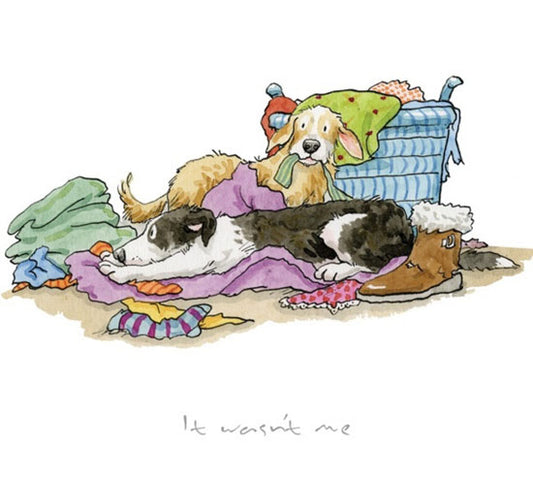 Anita Jeram - It wasn't me!