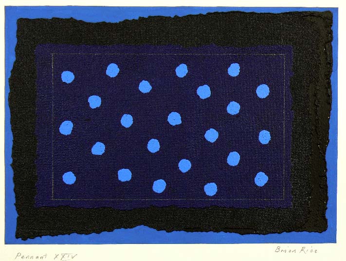Brian Rice - Pennant XXIX