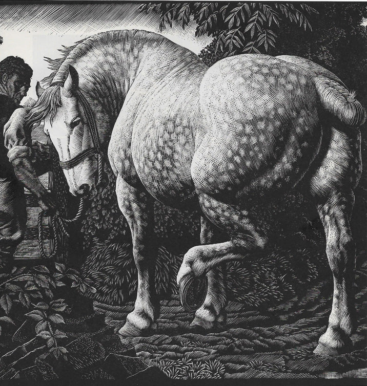 C F Tunnicliffe - The Percheron Horse 1940
