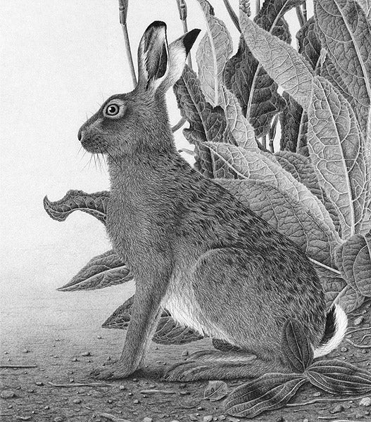 Clive Meredith - On Edge