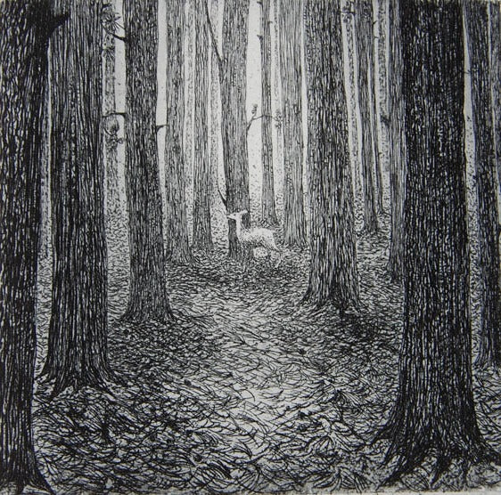 Flora McLachlan - A Forest