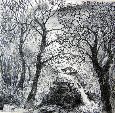 Flora McLachlan - In a Wild Place