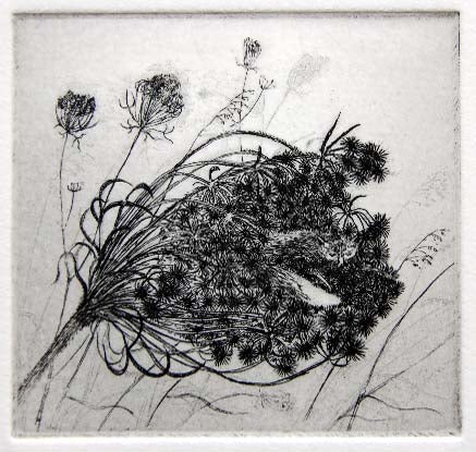 Flora McLachlan - Seednest