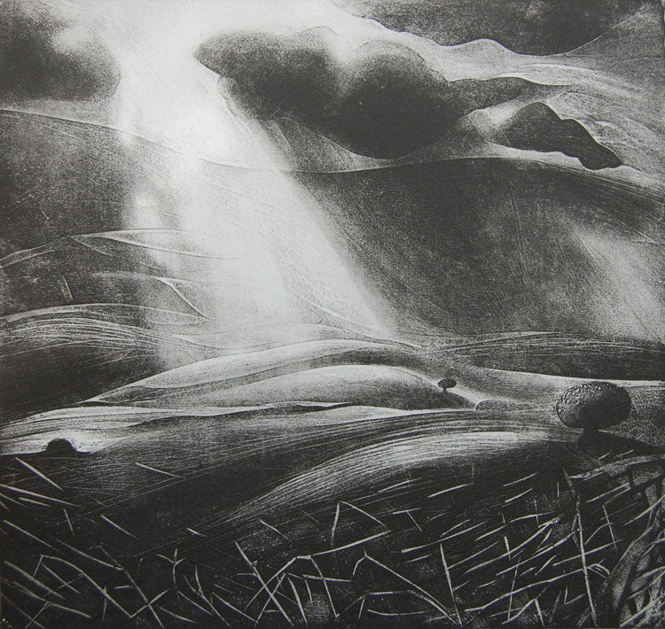 Flora McLachlan - Shadowed Air