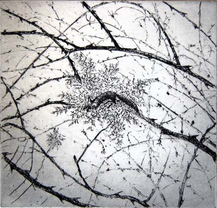 Flora McLachlan - Sweetbriar