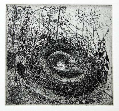 Flora McLachlan - The Nest