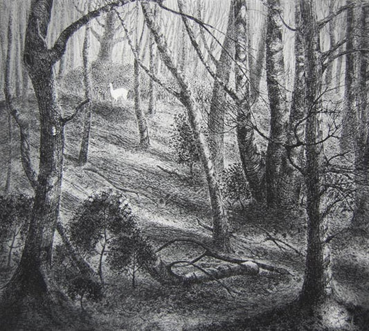 Flora McLachlan - The White Hart