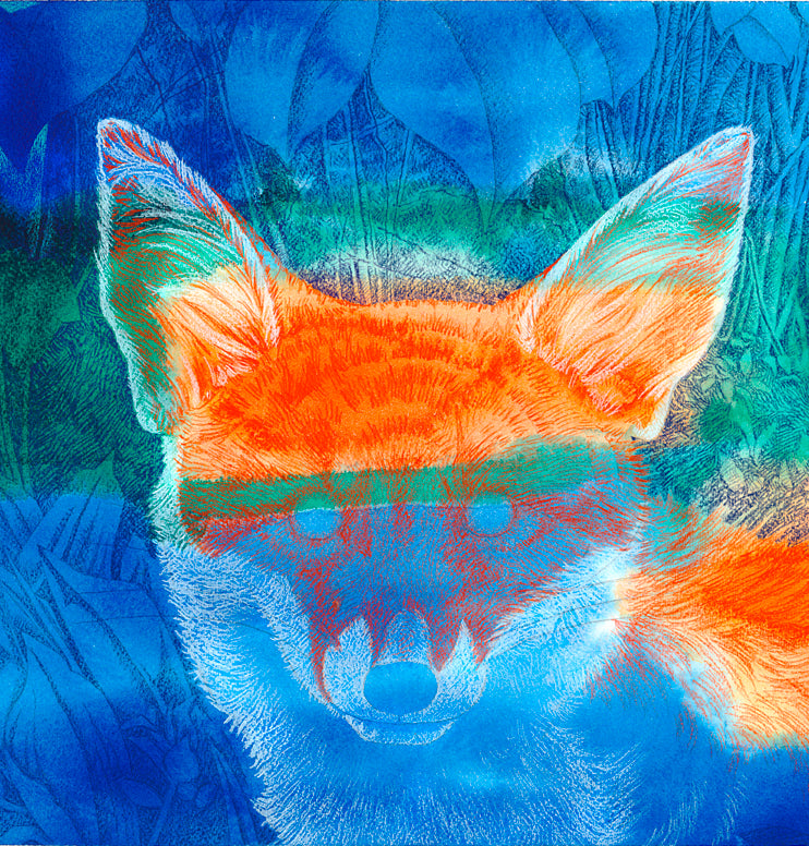 Jan Nesbitt - Fox Light