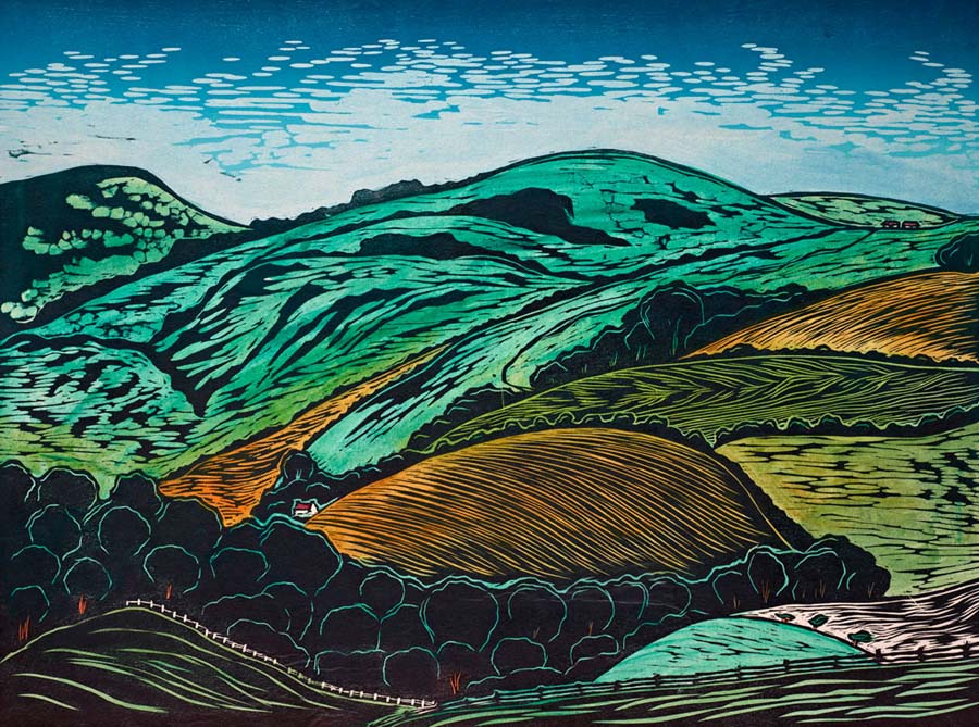 Helen Brown - Stanmer Ridge Down
