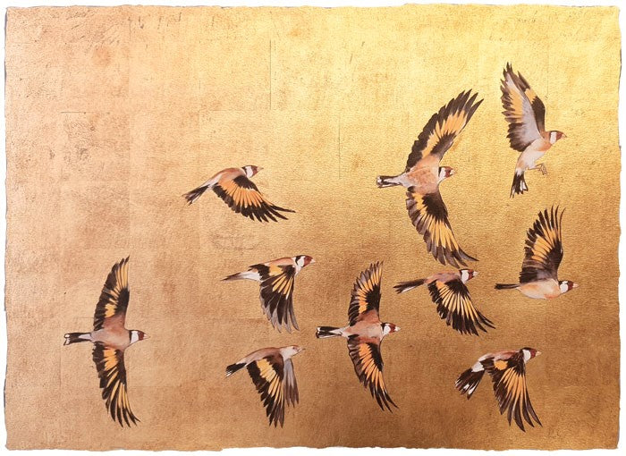 Jackie Morris - A Charm of Goldfinches