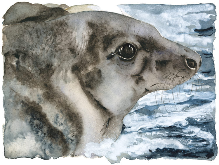 Jackie Morris and Robert MacFarlane - The Lost Spells - Grey Seal