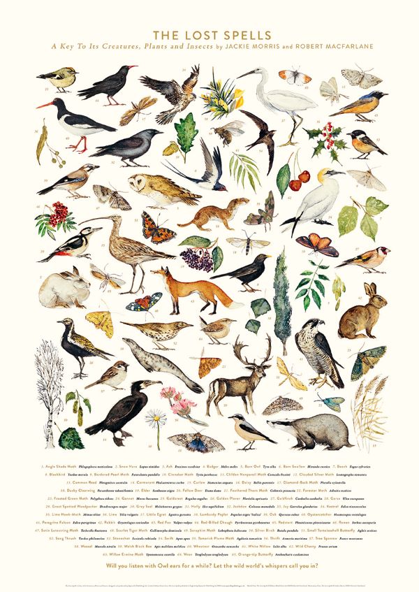 Jackie Morris and Robert MacFarlane - The Lost Spells Poster