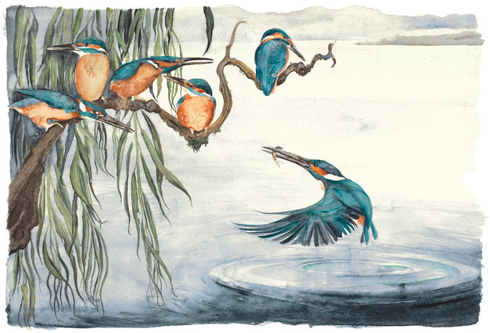 Jackie Morris and Robert MacFarlane - The Lost Words - Kingfishers