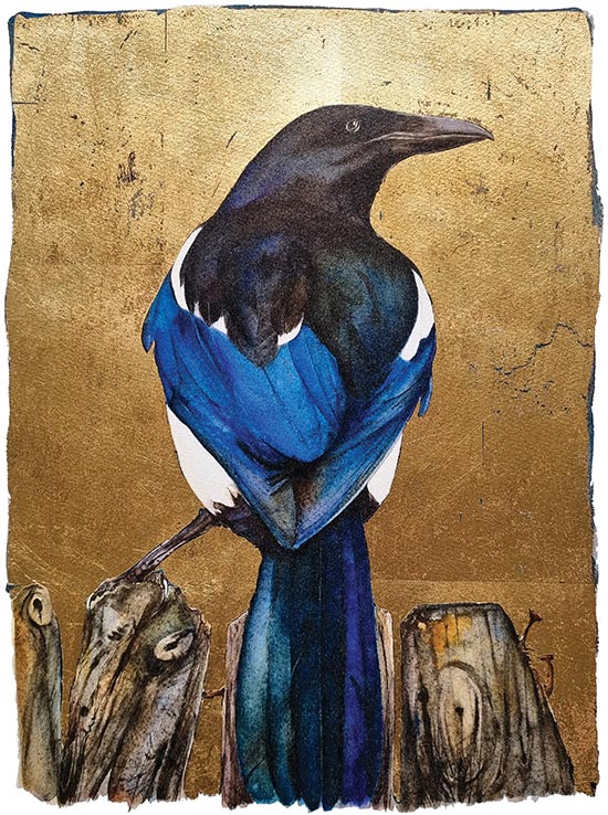 Jackie Morris and Robert MacFarlane - The Lost Words - Magpie