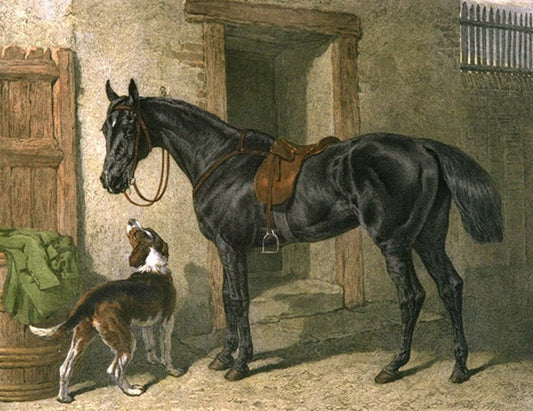 John F Herring - Hunter