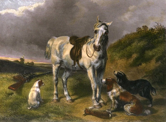 John F Herring - Shooting Pony