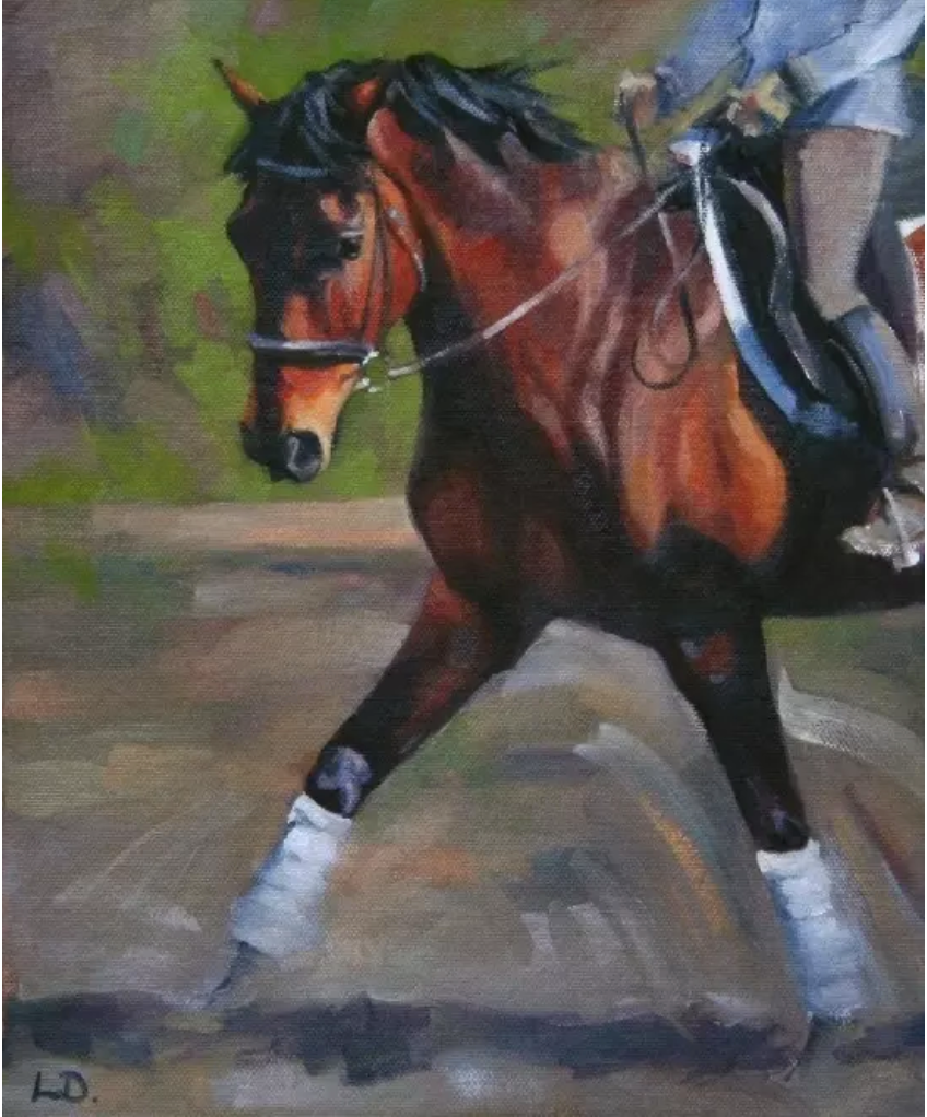 Lorna Lancaster - Schooling Session