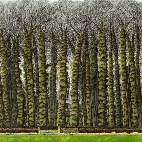 Simon Palmer - The Ivy Wood Plantation