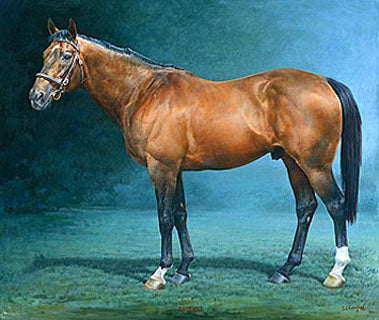 Susan Crawford - Danehill