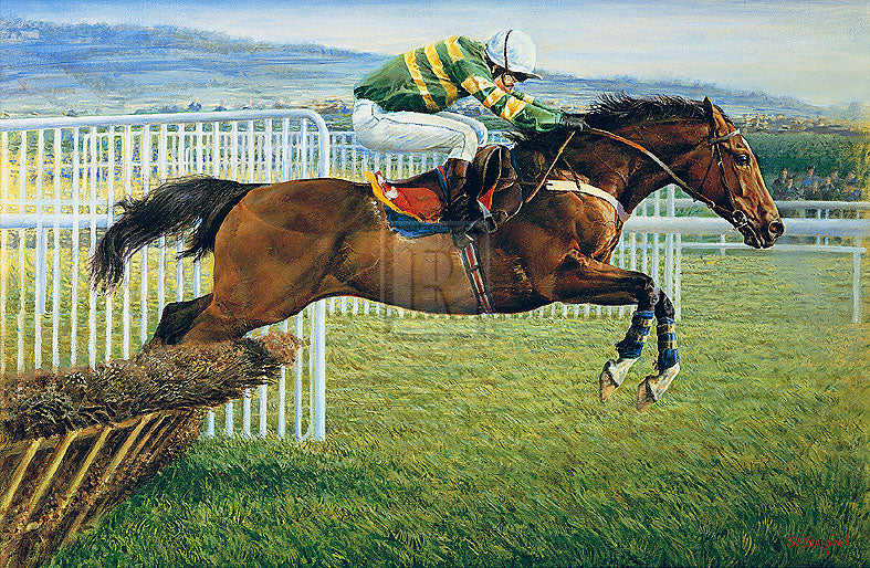 Susan Crawford - Istabraq at Cheltenham