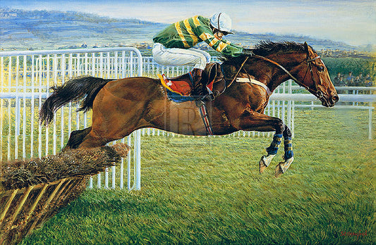 Susan Crawford - Istabraq at Cheltenham