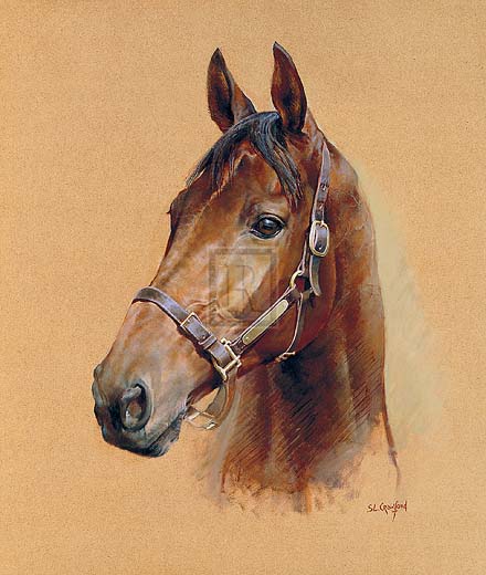 Susan Crawford - Legend (Best Mate)