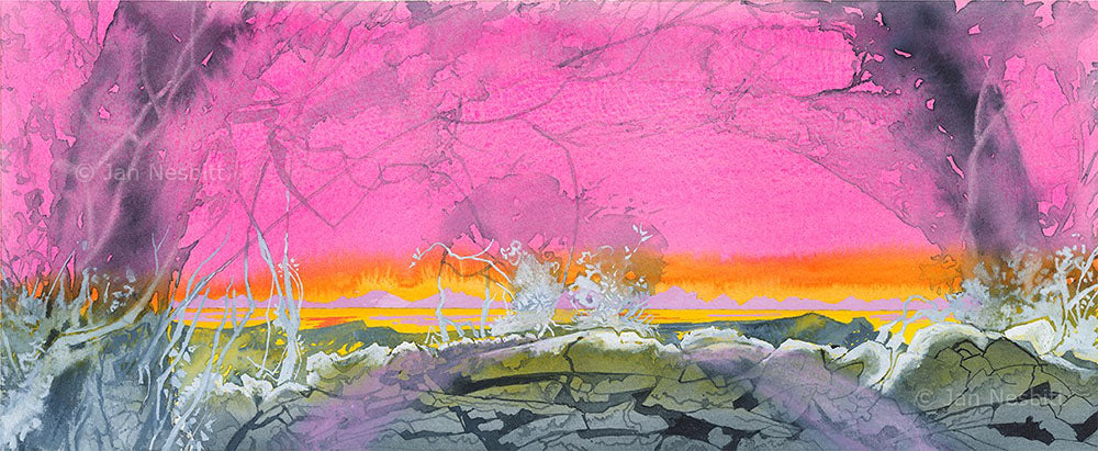 Jan Nesbitt - Western Wilds