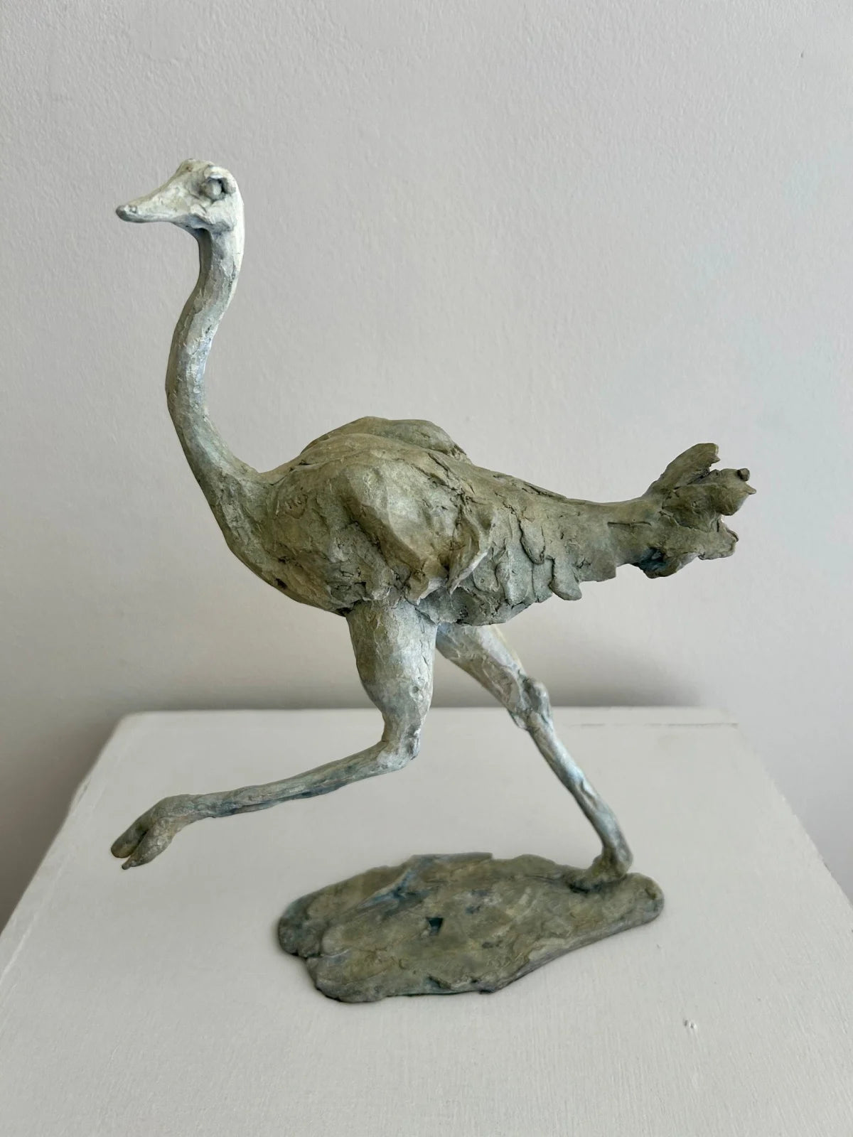 Ostrich - Rachel Stormonth-Darling