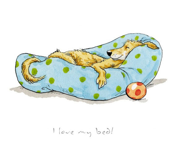 Anita Jeram - I Love my Bed!