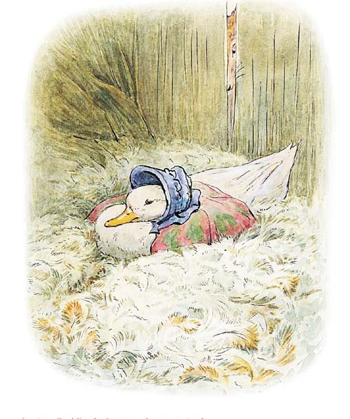 Beatrix Potter - Jemima was surprised to find a quantity of feathers