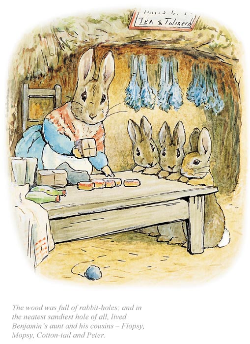 Beatrix Potter - The neatest, sandiest rabbit hole of all...