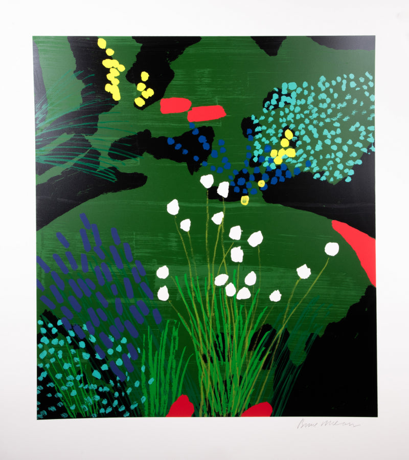 Bruce McLean - Lindheimer's Beeblossom