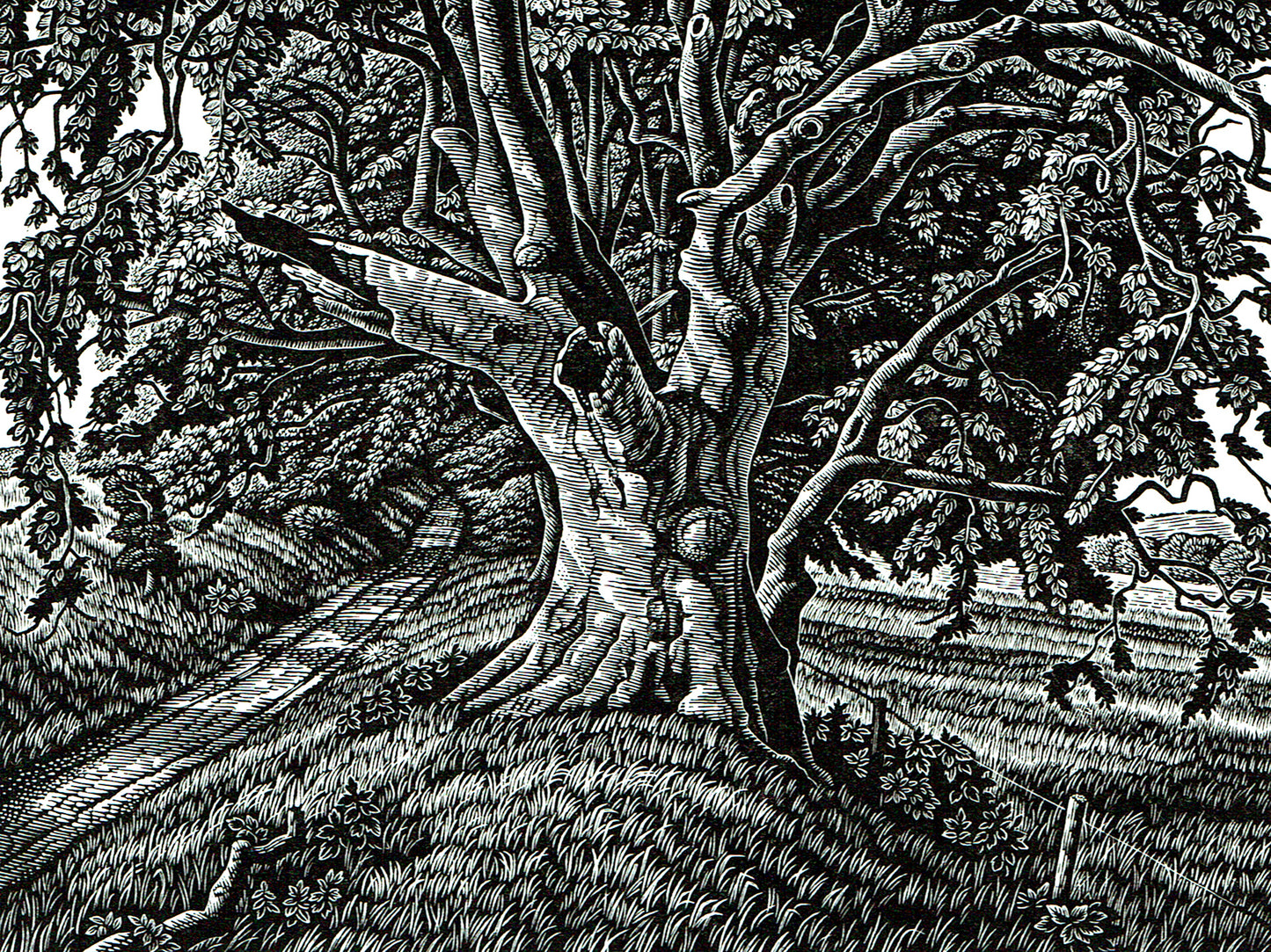 Chalk Hill Drove - Wood Engraving by Howard Phipps