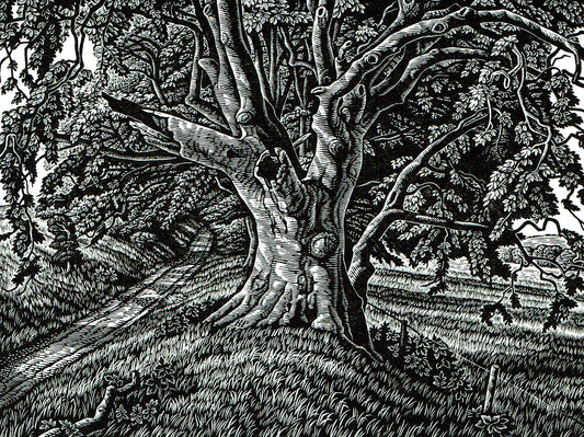 Howard Phipps original wood engraving - Chalk Hill Drove