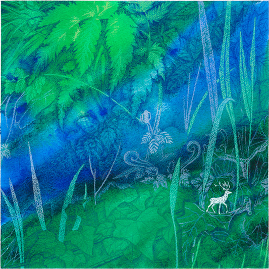 Jan Nesbitt - Dimensions