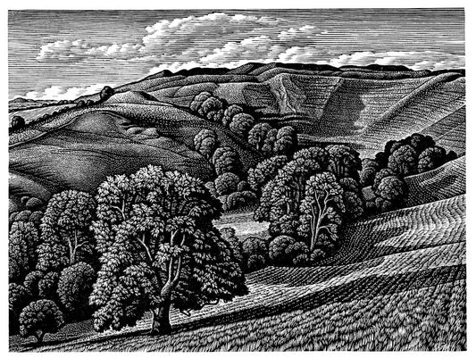 Howard Phipps original wood engraving - Eggardon Hill Fort