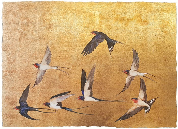 Jackie Morris - Golden Flight of Swallows
