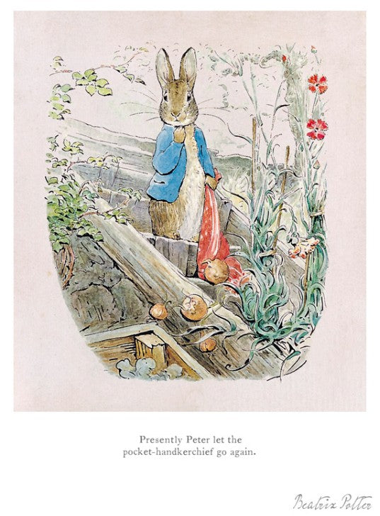 Beatrix Potter - Peter let the Handkerchief Go