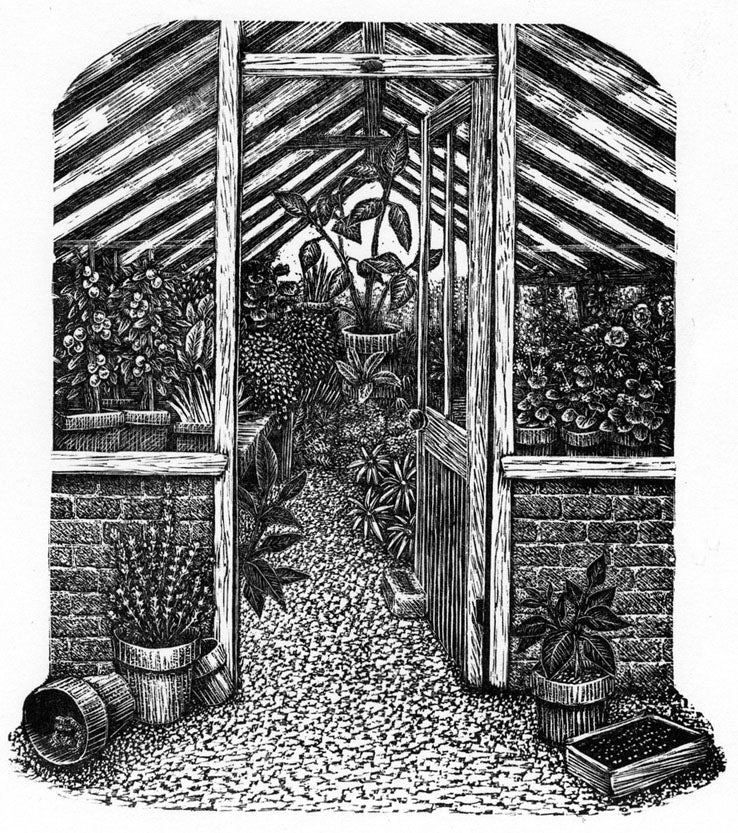 Geri Waddington Wood Engraving - Greenhouse